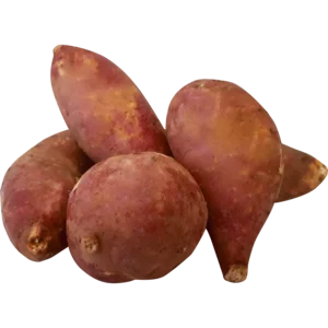 Red Sweet Potato Per kg Red Sweet Potato Per kg