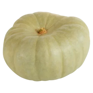 Queen Blue Pumpkin Single Queen Blue Pumpkin Single