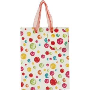 Small Multi-coloured Printed Gift Bag