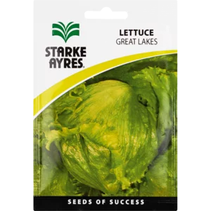 Starke Ayres Lettuce Variety Vegetable Seeds Starke Ayres Lettuce Variety Vegetable Seeds