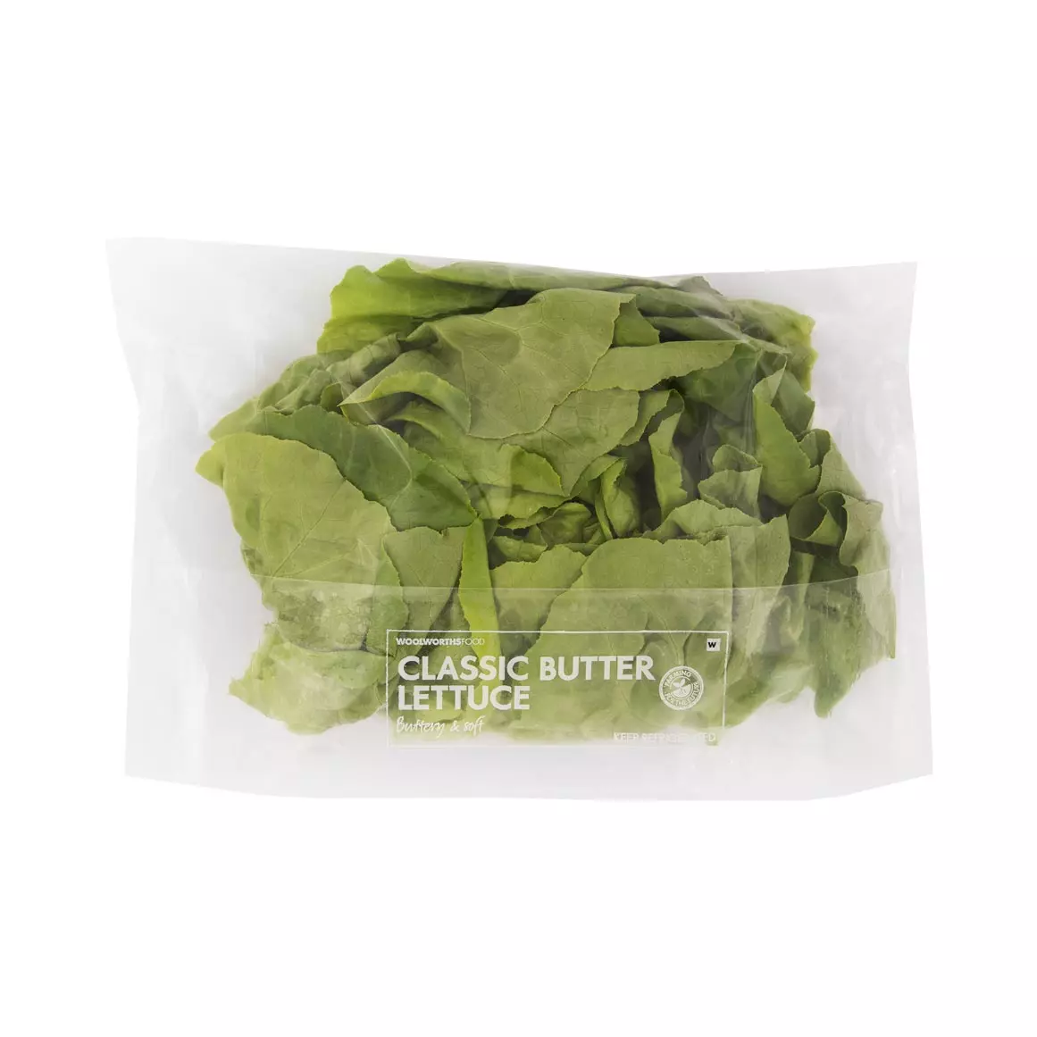 Classic Butter Lettuce