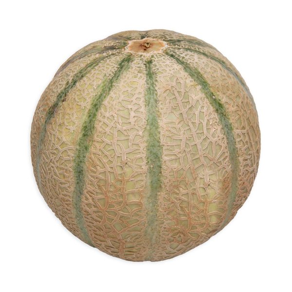 Large Sweetmelon Large Sweetmelon