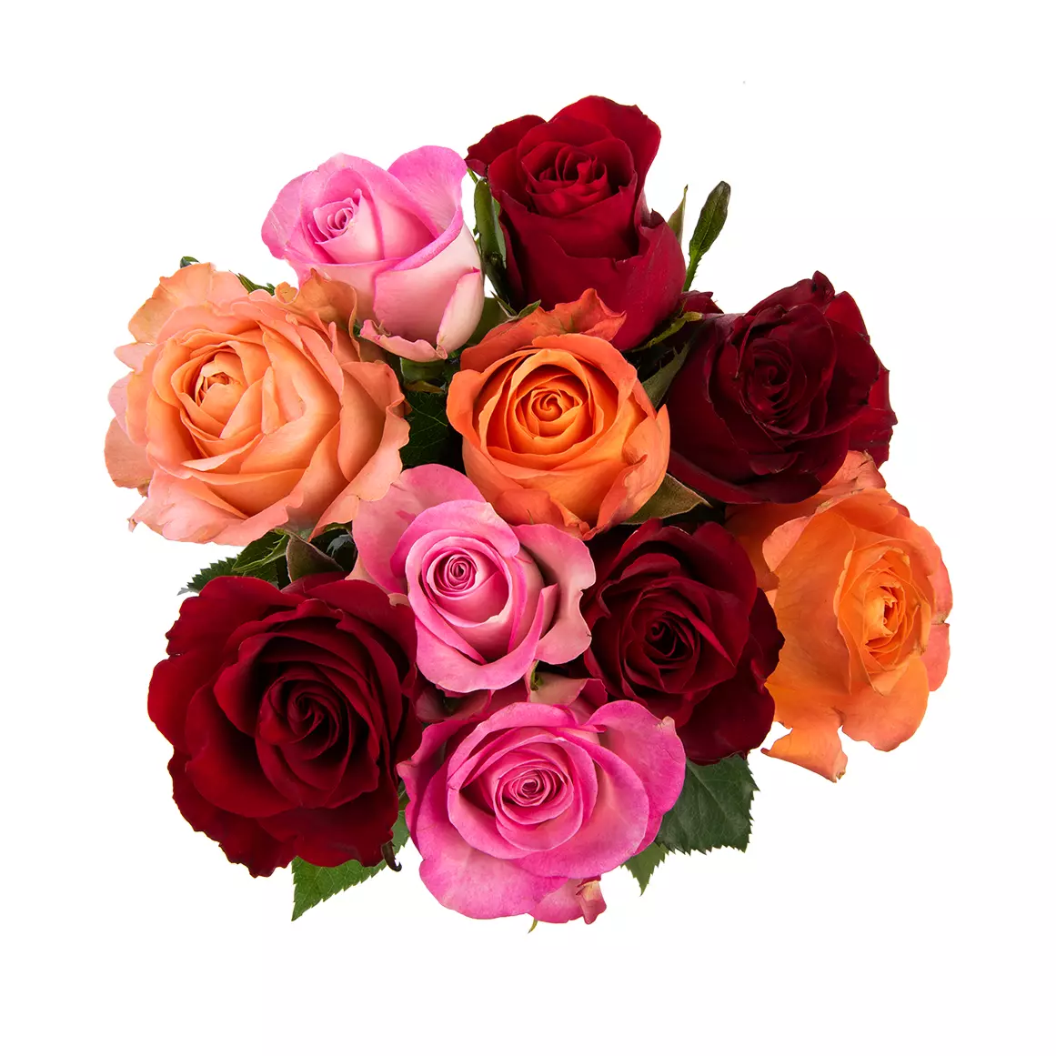 Rose Selection