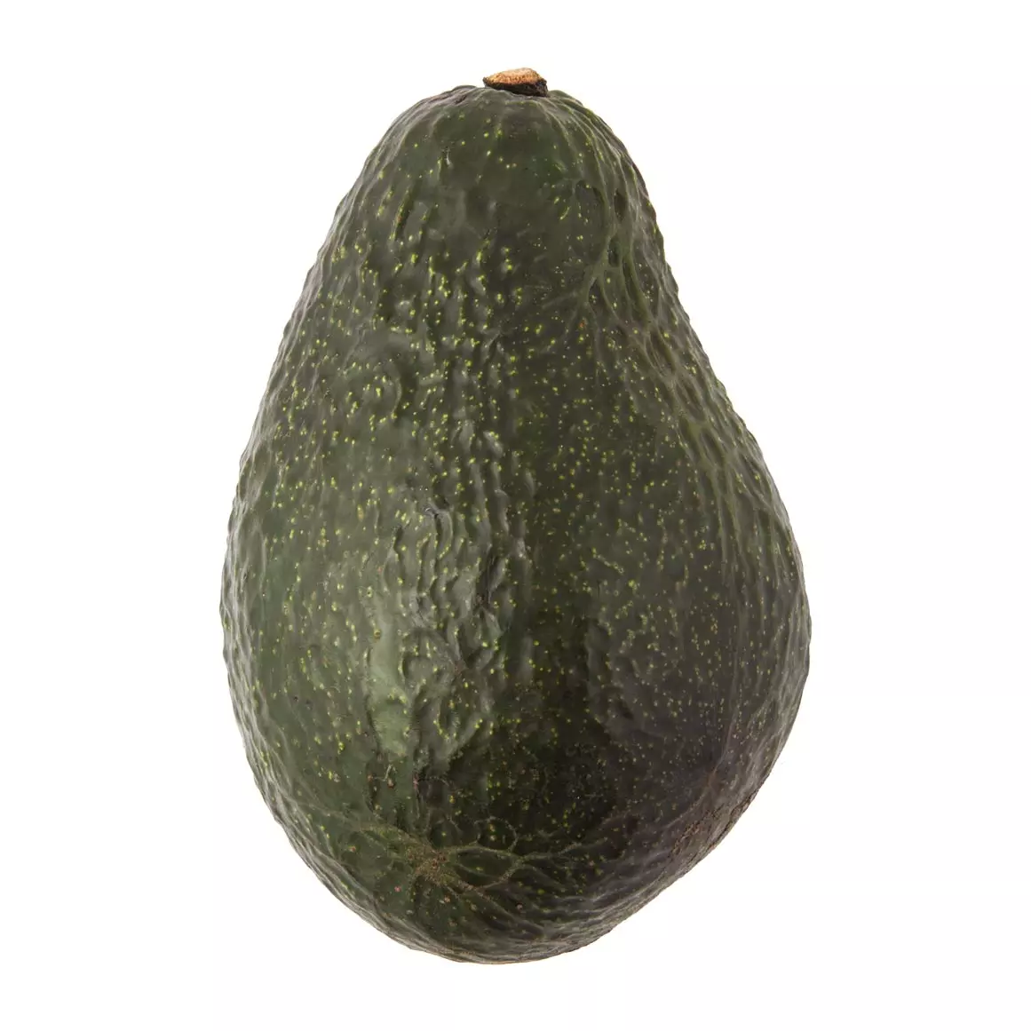 Loose Avocado Loose Avocado