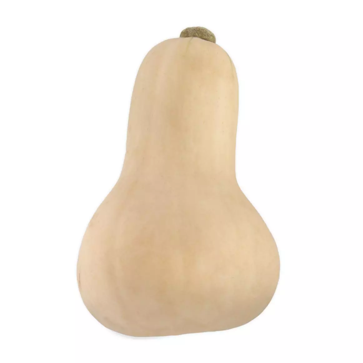 Whole Organic Butternut Avg 1.5kg