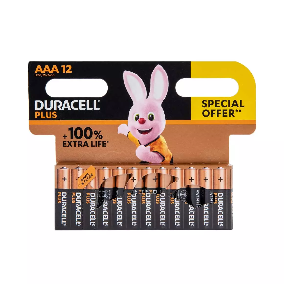 Duracell Plus AAA Alkaline Batteries 12 pcs Duracell Plus AAA Alkaline Batteries 12 pcs