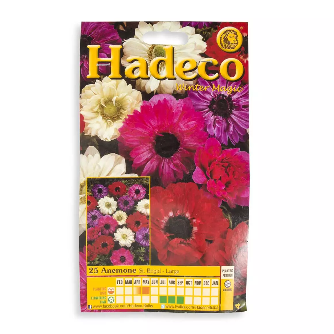 Hadeco Anemone Large Bulbs 25pk Hadeco Anemone Large Bulbs 25pk