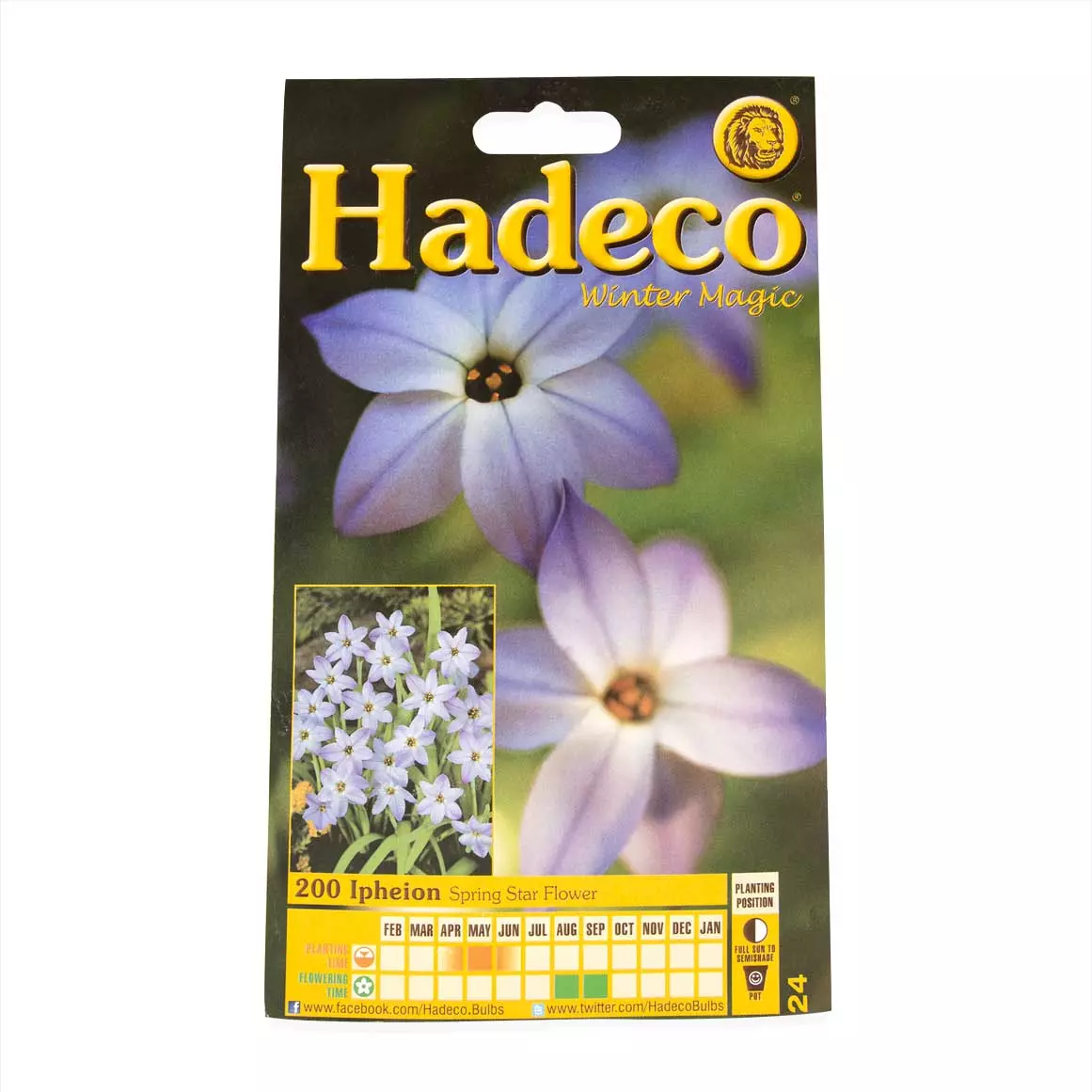 Hadeco Ipheion Bulbs 200pk