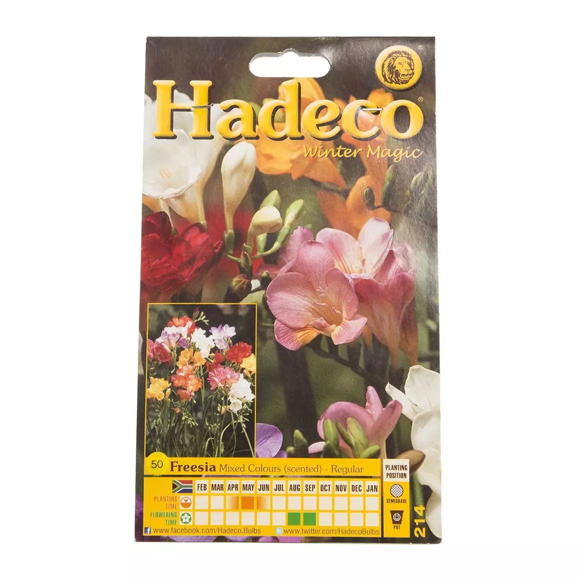 Hadeco Freesia Mixed Colours Regular Bulbs 50pk Hadeco Freesia Mixed Colours Regular Bulbs 50pk