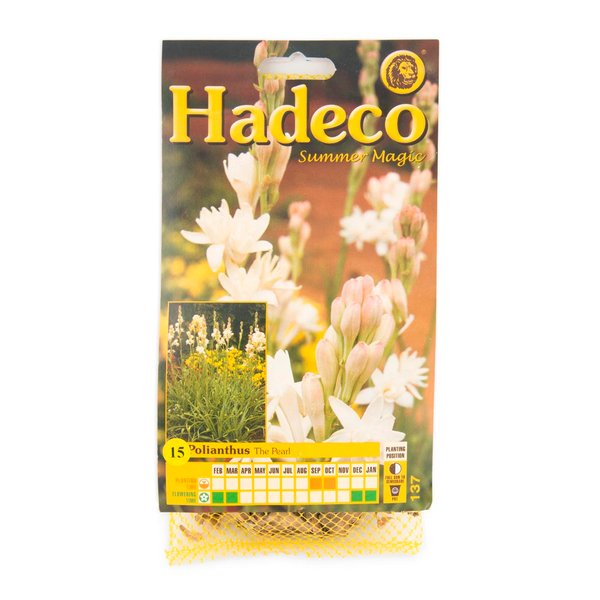 Hadeco Polianthus The Pearl Bulbs 15pk