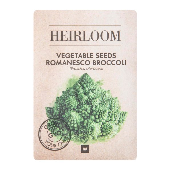 Heirloom Vegetable Seeds Romanesco Broccoli ± 50 Seeds Heirloom Vegetable Seeds Romanesco Broccoli ± 50 Seeds