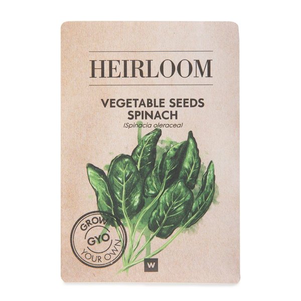 Heirloom Vegetable Seeds Spinach ± 50 Seeds Heirloom Vegetable Seeds Spinach ± 50 Seeds