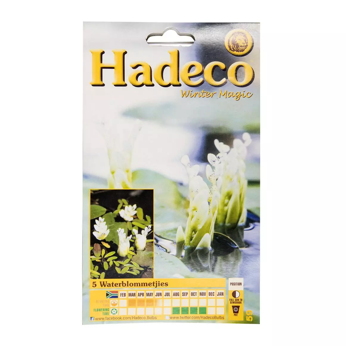 Hadeco Waterblommetjies Bulbs Approx 5pk
