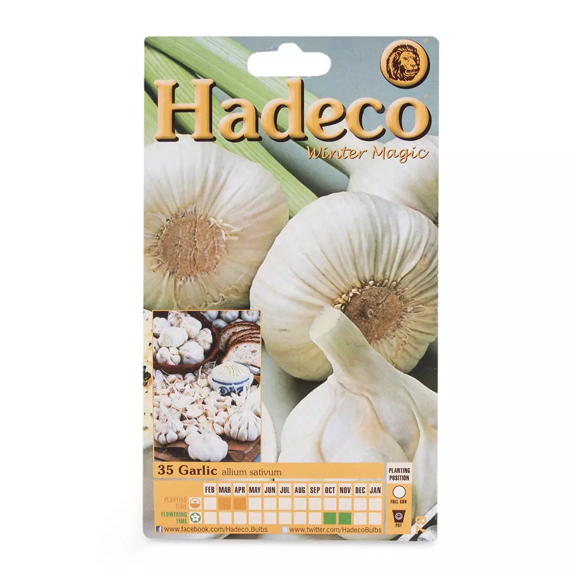 Hadeco Garlic Allium Sativum Bulbs 35pk Hadeco Garlic Allium Sativum Bulbs 35pk