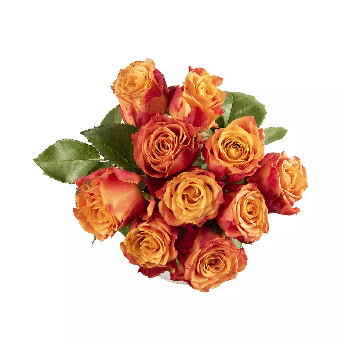 Citrus Basket Speciality Roses
